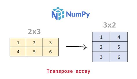 matrix transpose numpy